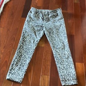 Brand new loft jeans pants